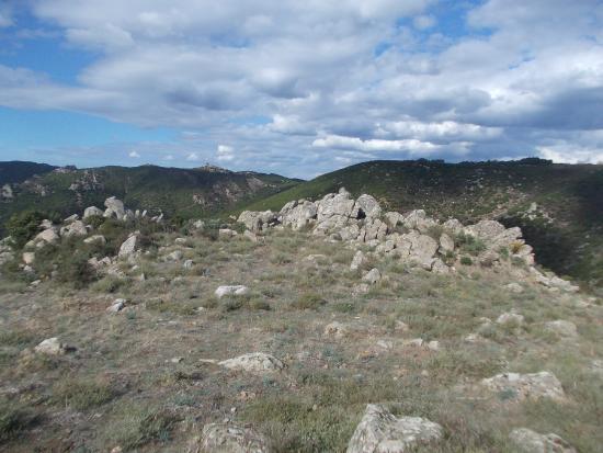 Cooperativa Monte Sette Fratelli